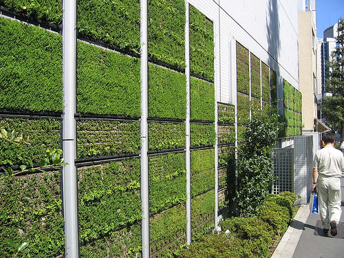 Green Walls by Nature!